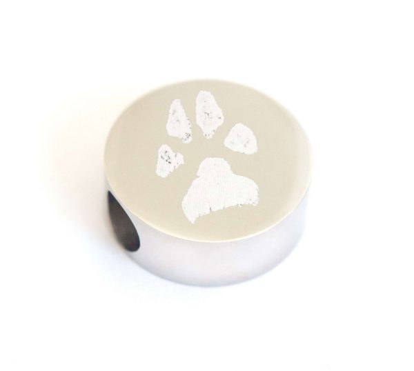 Paw Print Circle Pandora Charm