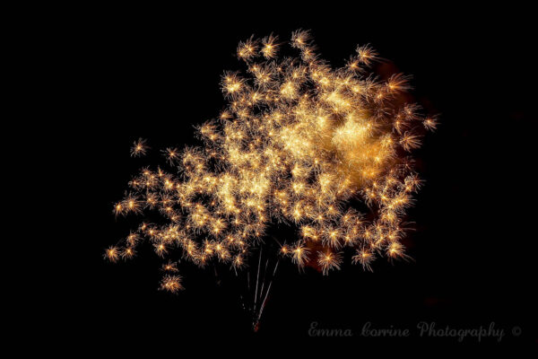Fireworks Print Collection