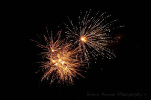 Fireworks Print Collection
